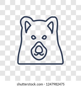 Bear icon. Trendy linear Bear logo concept on transparent background from animals  collection