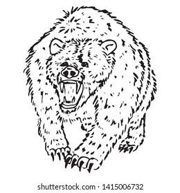 Bear icon. Vector illustration of an angry bear. Hand drawn roaring shaggy bear.