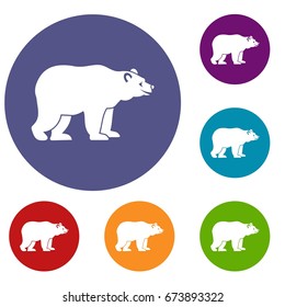 Bear icons set in flat circle reb, blue and green color for web