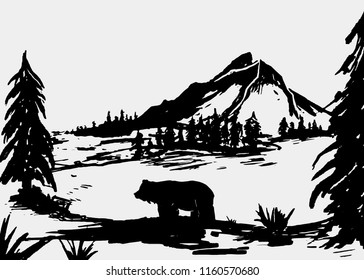 Ilustración del oso. Vector de ilustración de oso de montaña y bosque.