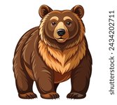 Bear illustration on White Background