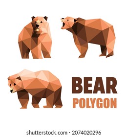 Bear illustration Set in polygonal.  Bear Icon in abstract low poly. Vector of Bear
