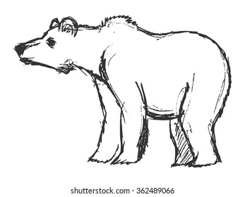 bear, illustration of wildlife, zoo, wildlife, animal of forest