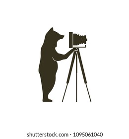 bear illustrations are taking pictures