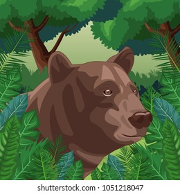 Bear in the jungle