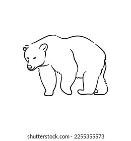 Bear line art drawing illustration, Bear line art black and white