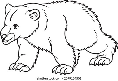 Bear line vector illustration isolated on white background