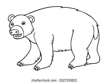bear line vector illustration,isolated on white background,top view