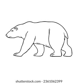 bear line vector illustration,isolated on white background,top view