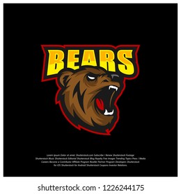 Bear Logo design vector. Bear sport logo