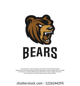 Bear Logo design vector. Bear sport logo