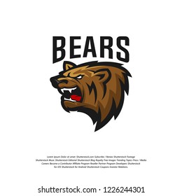 Bear Logo design vector. Bear sport logo