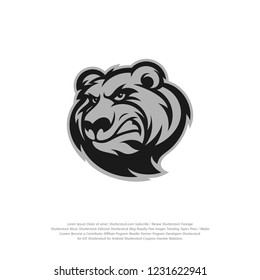 Bear Logo design vector. Bear sport logo