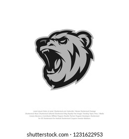 Bear Logo design vector. Bear sport logo