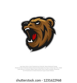 Bear Logo design vector. Bear sport logo