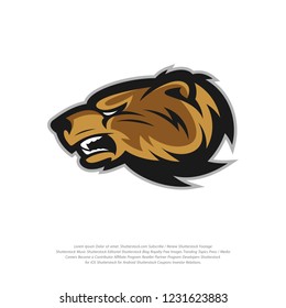 Bear Logo design vector. Bear sport logo