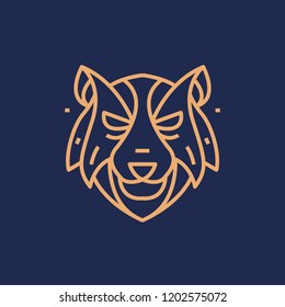 bear logo on blue background with yellow lines
