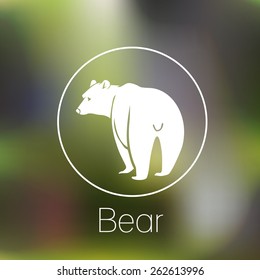 Bear logo on blur background. Vector illustration.