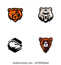 Bear logo template vector. Wild animal logo template