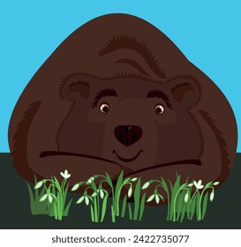 The bear looks tenderly at the snowdrops. Snowdrop Day. Vector greeting card with the beginning of spring.