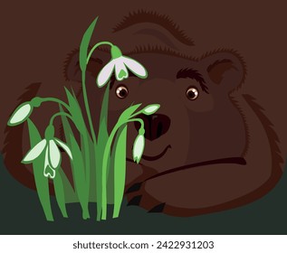 Bear looks tenderly at the snowdrops. Snowdrop Day. Vector greeting card with the beginning of spring.