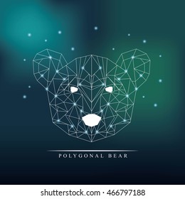 bear low poly animal, vector illustration eps10