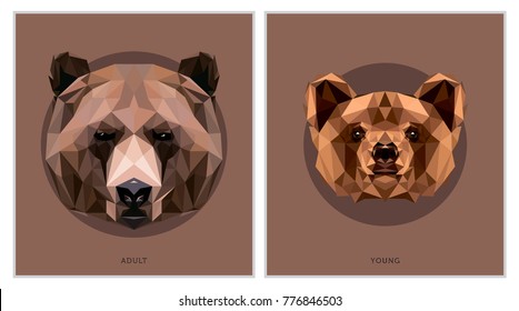 Bear Low Poly Animals Illustration