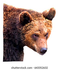 Bear. Low poly illustration. Vector clip art.