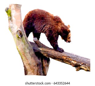 Bear. Low poly illustration. Vector clip art.