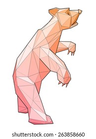 Bear. Low polygon linear vector illustration