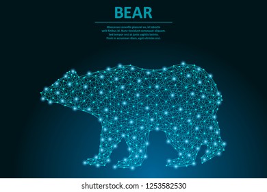 Bear made by points and lines, polygonal wireframe mesh, low poly animal illustration. Vector.