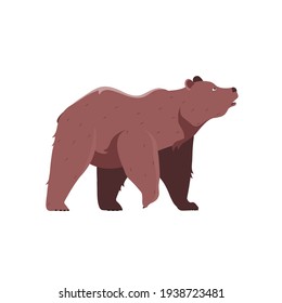Oso. Mammal. Ilustración vectorial de animales al estilo de las caricaturas.