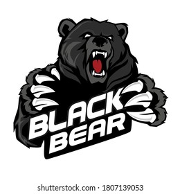 bear mascot cartoon in vector