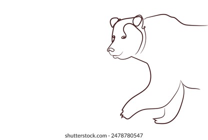 bear minimalist one line art illustration