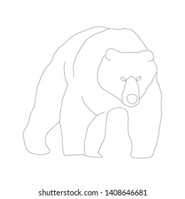 bear new modern vector icon 