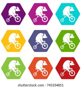 Bear on a bike icon set many color hexahedron isolated on white vector illustration