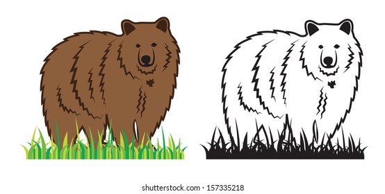 Bear on the grass