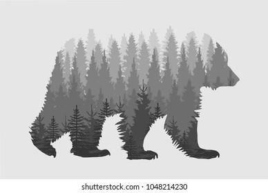 bear on gray background