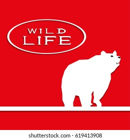 A bear on a red background with the inscription "wild life". Vector illustration.