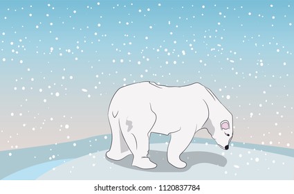 bear on the street, vector