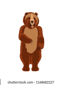 Bear on white background