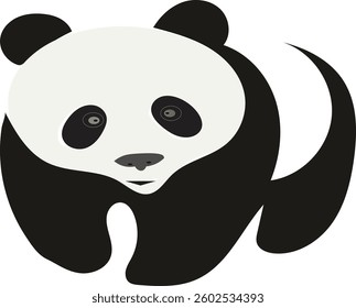 Bear or  panda black and white 