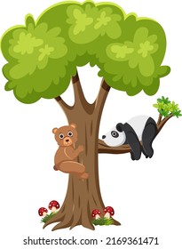 Bear and panda on atree illustration