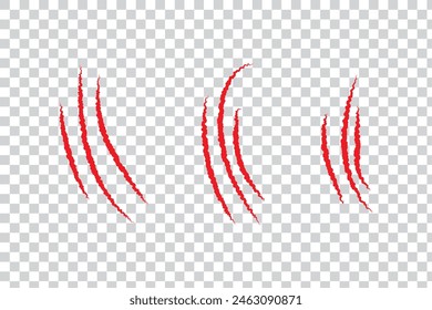 Bear paw claw marks, scratches of animal attack