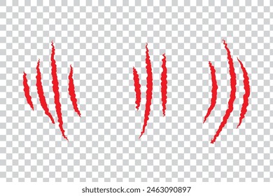 Bear paw claw marks, scratches of animal attack
