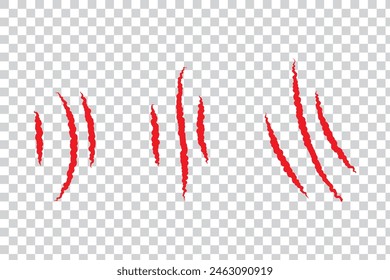 Bear paw claw marks, scratches of animal attack
