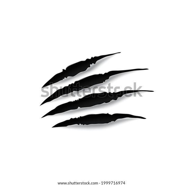 Bear Paw Claw Marks Vector Scratches Stock Vector (royalty Free 