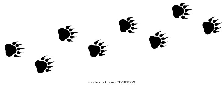 Bear paw footprint path. Vector silhouette grizzly steps 