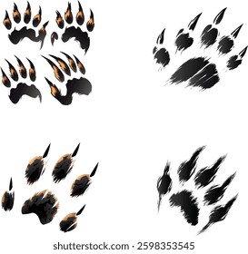 Bear Paw Print Vector Set Isolated on White Background