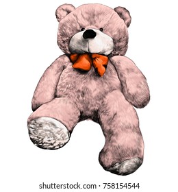 bear plush toy soft sketch vector graphics color picture